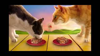 Friskies World 🌎 New 🆕 Friskies Glaz'd and Infuz'd Tv Spot Glazing Amazing 🤩 