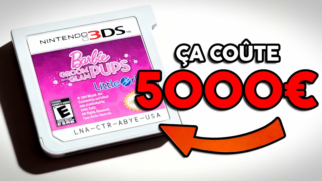 Ce jeu 3DS coûte 5000€