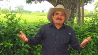 Jorge Vega Parales Prefiero Vivir Soltero