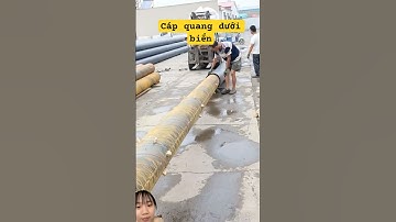 Cáp quang dưới biển siêu bự như thế này mà cá mập vẫn táp