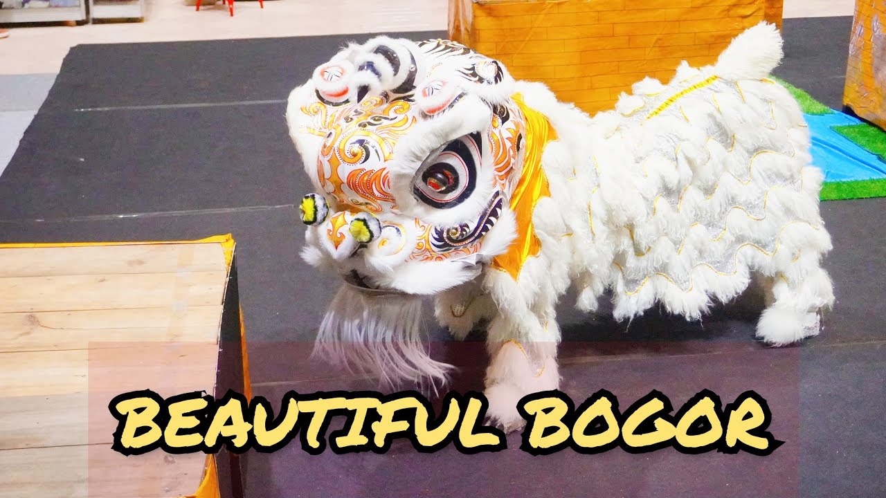 BEAUTIFUL BOGOR | FESTIVAL BARONGSAI AMANAT KEBERAGAMAN JAKARTA | PETAK ENAM
