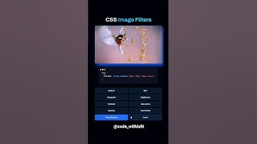 CSS Image filters🧑‍💻 #coding #programming #2024 #cssanimation #csstricks #javascript #frontend #html
