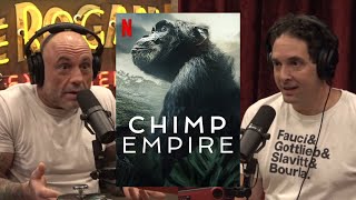 Joe Rogan: Have you Seen that Chimp Empire Show! Profile