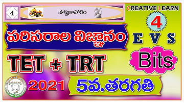 5th class evs bits | 5వ తరగతి EVS bits | text book | 4th lesson | Bits| CreativeLearn