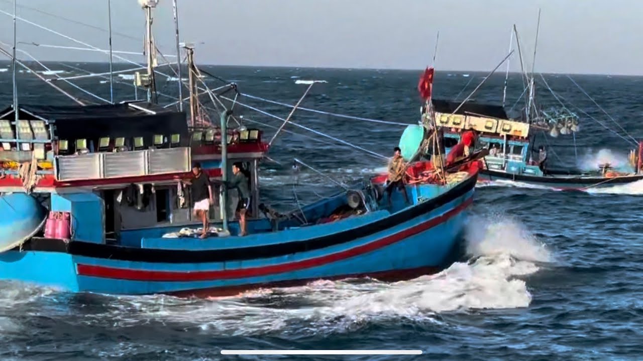 PHẦN 190.Bửa Nay Ghe Nào Củng Được Nhiều Cá Chạy Vào La Gàn Bán 