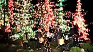 MVI_3916.avi