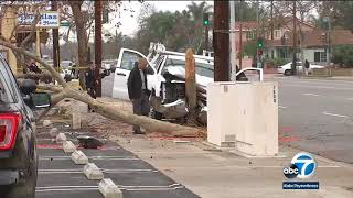 Driver shot in face, slams into tree in Santa Ana; shooter at large I ABC7