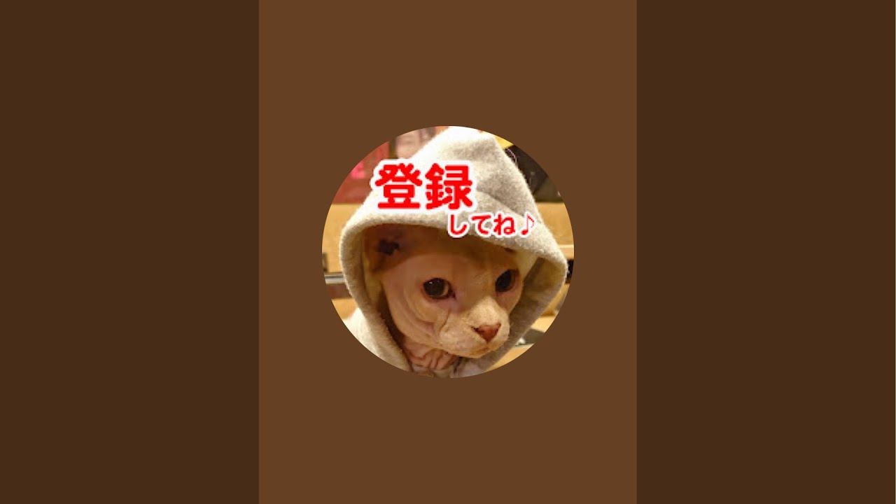 【リアル犬猫保護活動】にゃいるどはーと がライブ配信中!