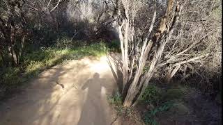Pacific Palisades, California - Ninebot One E Electric Unicycle Euc - April 14, 2016 - 3 Of 3