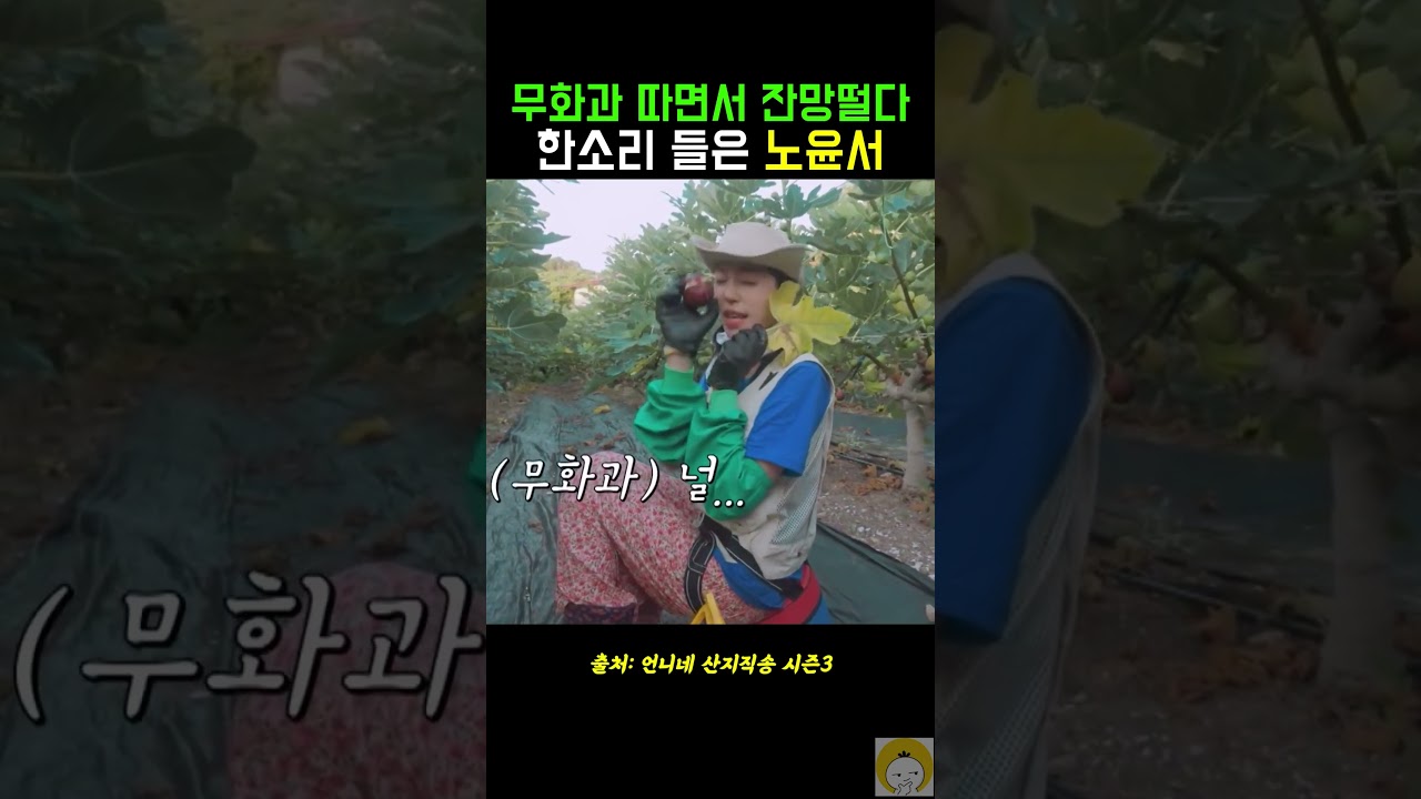 무화과 따면서 잔망 떨다 한소리 들은 노윤서