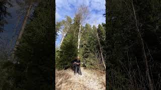 Free improvisation in Suuruus #guitar
