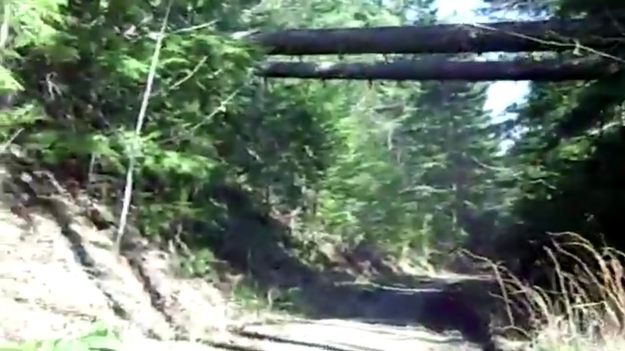 Holt Creek  Trestle area from 2011 Cowichan Valley Trail
