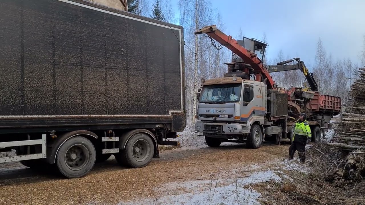 Logistic in the forest - easy case