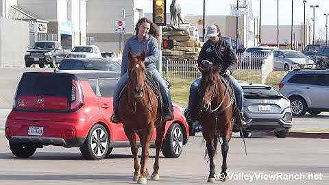 Long Cool Jazz and Shakada - riding in town! - ValleyViewRanch.net