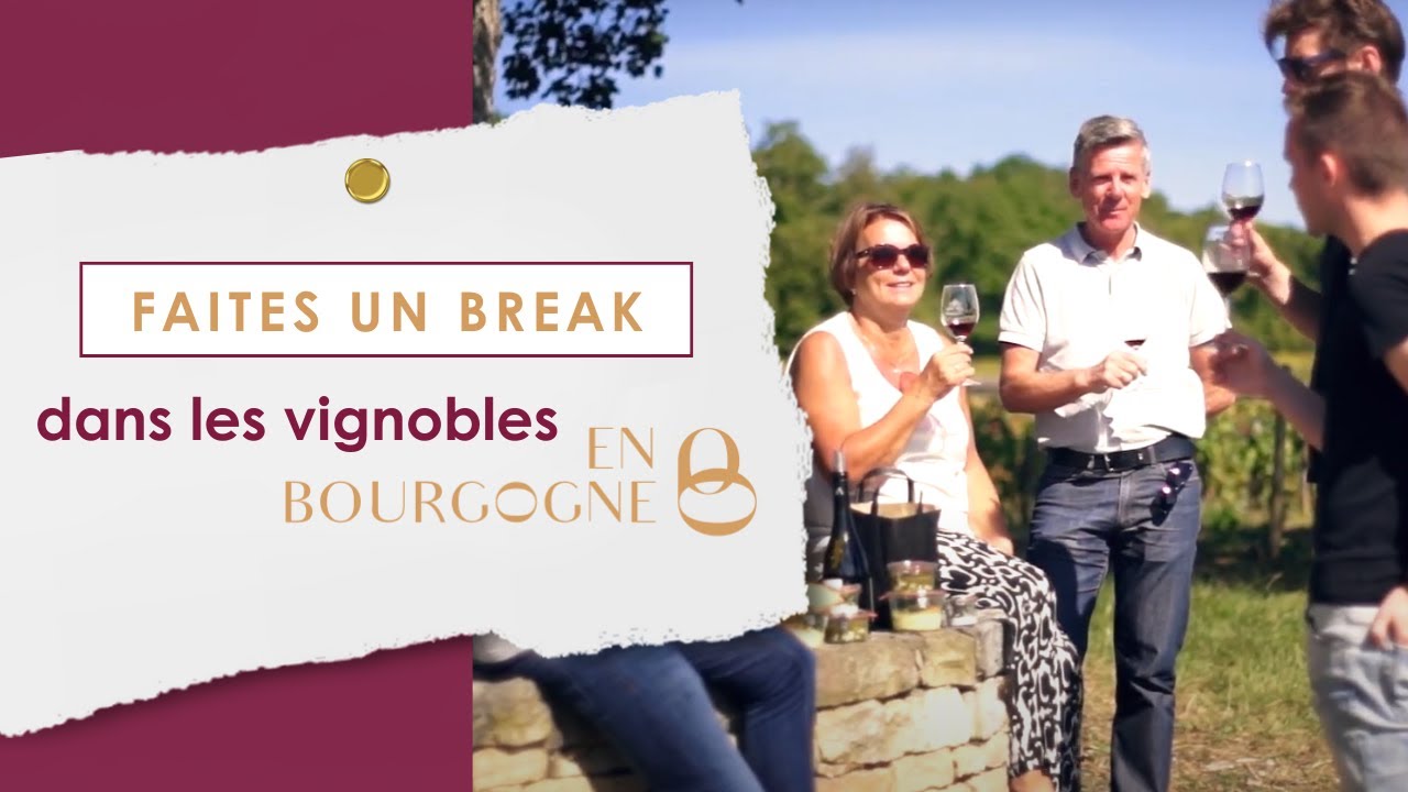 FAITES UN BREAK DANS LES VIGNOBLES DE BOURGOGNE 🍇│ version longue
