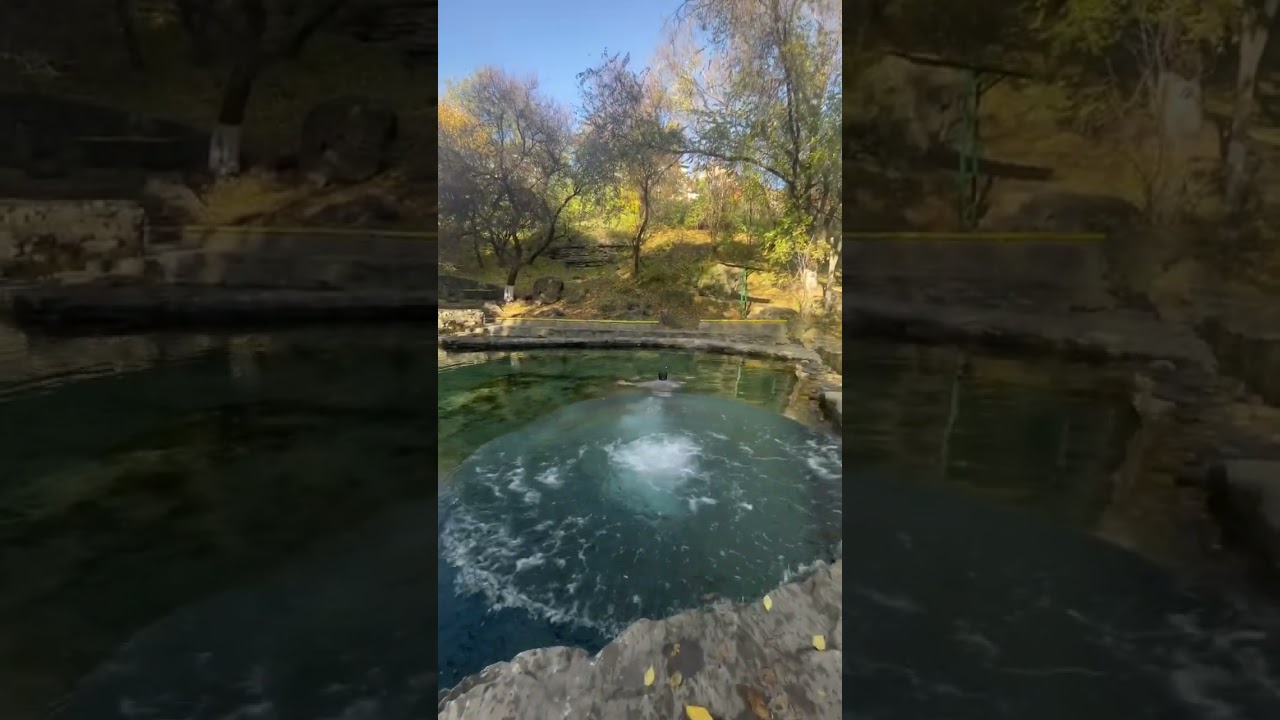 Ростов-на-Дону,Гремучка,Alex Team Rostov MMA Muay Thai 🥊🤼👊🏻