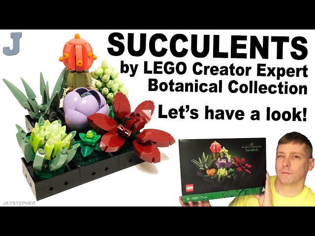 ▻ Très vite testé : LEGO Botanical Collection 10309 Succulents - HOTH BRICKS