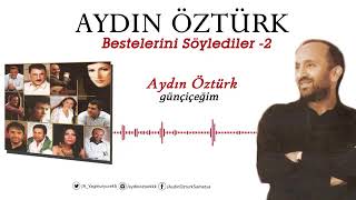 AYDIN ÖZTÜRK : GÜN ÇİÇEĞİM Resimi