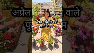 अप्रैल में खिलने वाले फूलों के नाम 😘 April Flower Plant Name / Priya Gardenhub #aprilflower #shorts