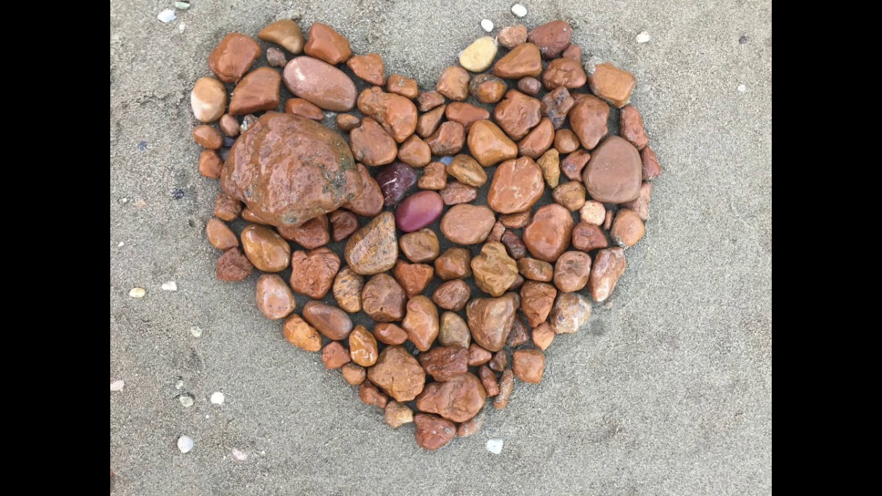 SEED Meditation Sarah McLean's Meditation