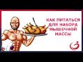 Как питаться чтобы набрать мышечную массу