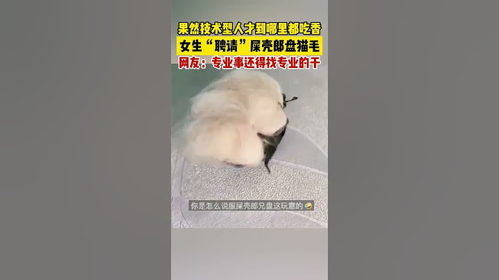 果然技术型人才到哪里都吃香，女生“聘请”屎壳郎盘猫毛，网友：专业事还得找专业的干。🤣 #搞笑 #funny #shorts