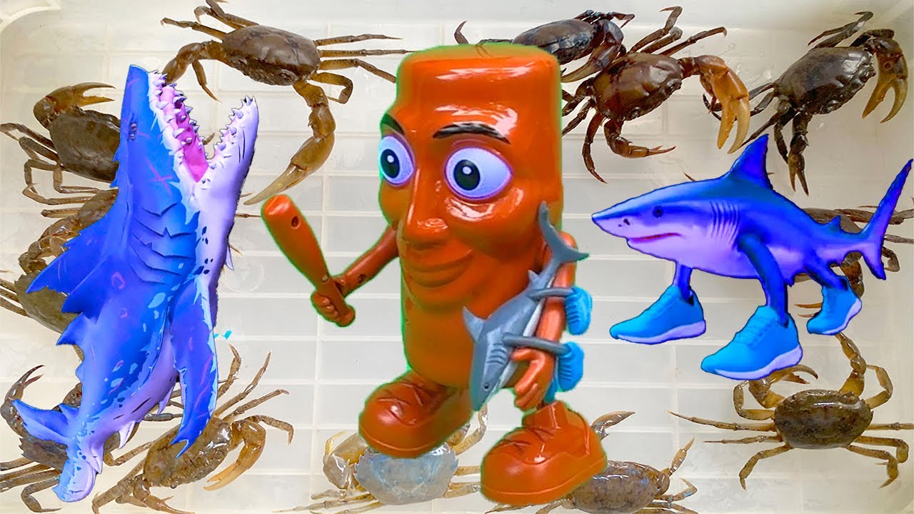 Kem Ốc Chanel ra đồng bắt cá, cua, trê cọp ngày mưa bão. Cá mập bắt tung tung sahur ngoài đời thực.