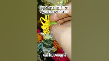 फूल से शहद शिवलिंग पर चढ़ाने का चमत्कारी उपाय #pradeepmishra #upay #mahadev #shivpuran  #trending