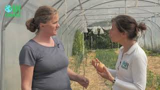 Ouichange Vidéos Aliments Les Oignons
