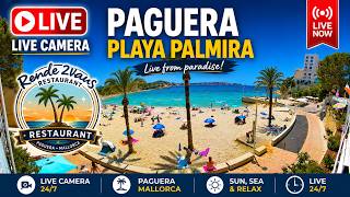 Mallorca Webcam Playa Palmira Paguera 4K