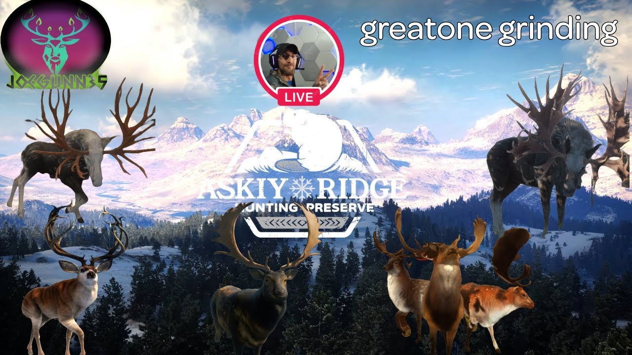 STACKING GREATONES 4/11