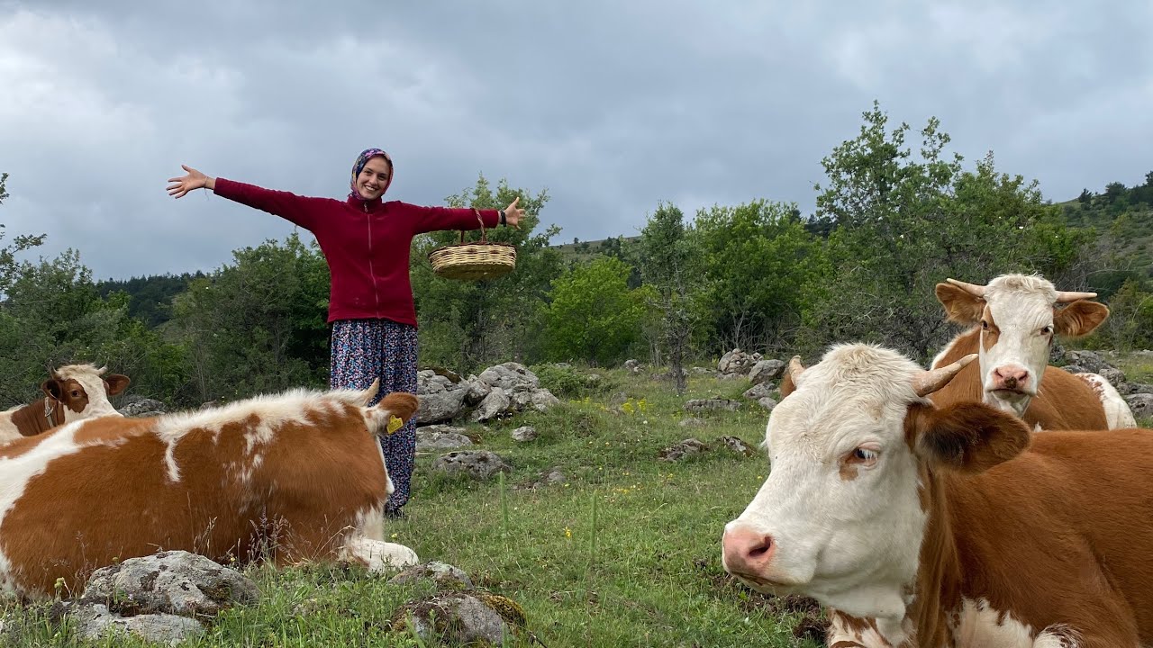 YILIN İLK MANTARLARINI TOPLADIM🍄mantar yemeği ‼️