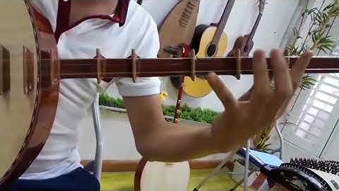 Dọc Nam - Đàn Nguyệt,Thầy Tuấn || Âm nhạc truyền thống thăng long.