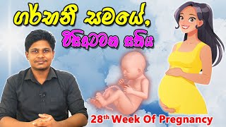 Pregnancy 28Th Week Sinhala Medical Review අමමය බබය