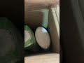 mama Earth combo for kids #ytshorts #cute #babycare