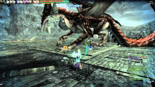 Vindictus: Siglint on acid Exterminate glitch