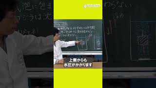 でんじろう先生のこれだけは言いたい！「ワダツミ作戦でゴジラは科学的には沈まない！」/ 米村でんじろう[公式]#科学#実験#ゴジラマイナスワン