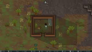 Famous Perspective Shift - Showcase 2 Net Worth