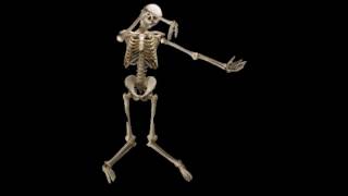 Cringey animation test. Shoebox, Spriter and a real skeleton dead meme Dab computer voices.
