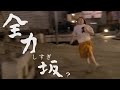 全力しすぎ坂 No.2