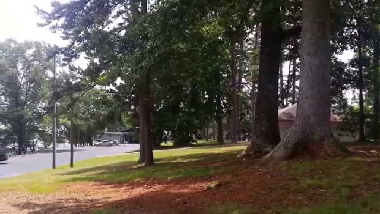 Skogies Restaurant Outdoor Dining At Lake Lanier!