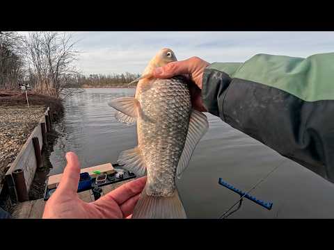 Закрытие зимнего сезона, рыбалка на карася и леща