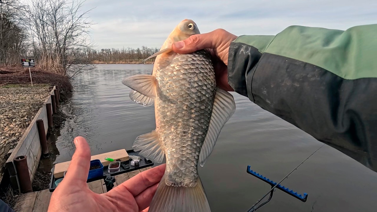 Закрытие зимнего сезона, рыбалка на карася и леща