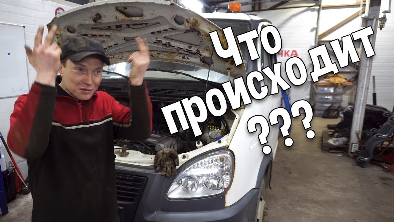 Весовой контроль для газелей Весовой контроль для газелей