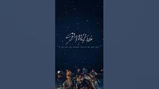 Stray Kids 'CHEESE'