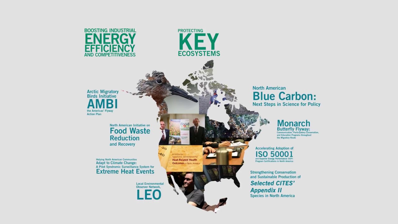 commission for environmental cooperation key accomplishments youtube key accomplishments