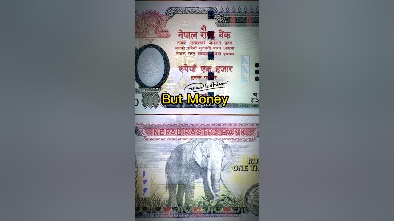 Money Vs Currency Is Money And Currency Same Difference Between money-vs-currency-is-money-and-currency-same-difference-between