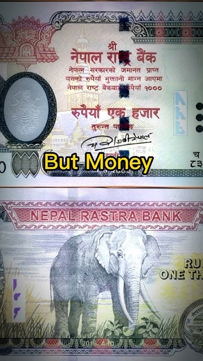 Money Vs Currency Is Money And Currency Same Difference Between money-vs-currency-is-money-and-currency-same-difference-between