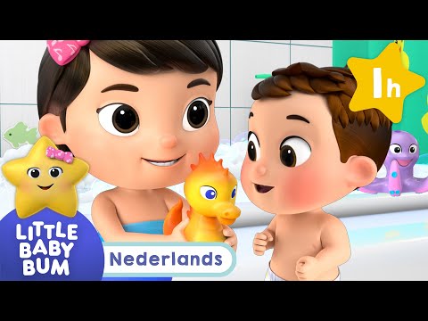 Zoek en vind
