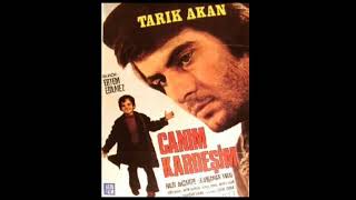 Saian - Kangren(Sample)